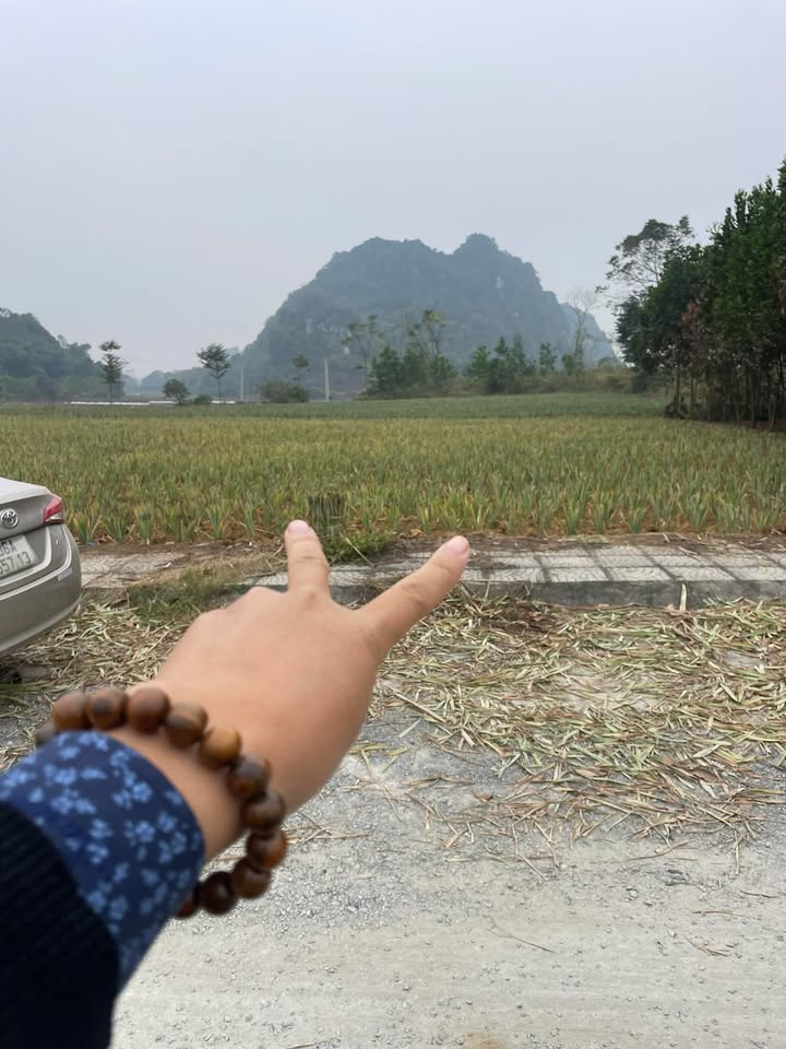 Đất nền xã Cao Thịnh, Ngọc Lặc 225m² giá chỉ 100 triệu - Cơ hội hiếm có!