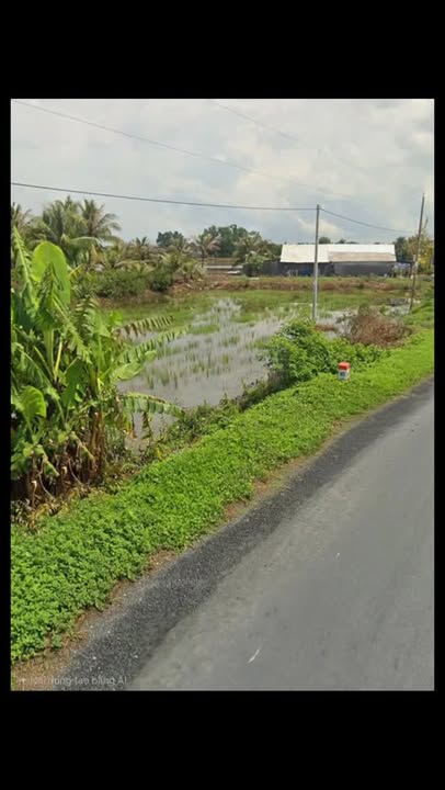 Đất mặt tiền Quản Lộ Phụng Hiệp, Ninh Quới A, Hồng Dân 946m² giá 1.63 tỷ - Cơ hội đầu tư hấp dẫn!