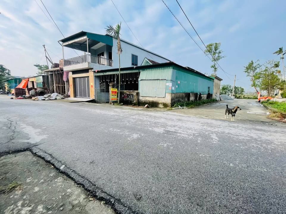 Đất nền khu phố Thanh Phú, phường Thạch Trung 162.7m² giá 3 tỷ - Mặt tiền đường lớn, cơ hội đầu tư tốt!