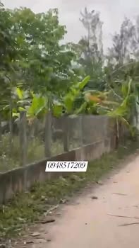 Đất 2 mặt tiền Tam Tiến Đà Nẵng 330m² giá 1.4 tỷ - Kinh doanh thuận lợi!