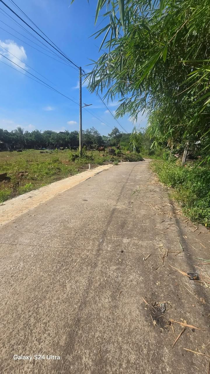 Đất thổ cư Bàu Trâm, Long Khánh 177m² chỉ 750 triệu - Đầu tư sinh lời lý tưởng!