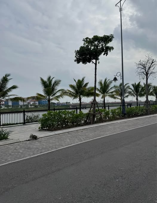 Đất nền Trần Quý Kiên 120.7m² giá 5 tỷ - Tiềm năng tăng giá mạnh!