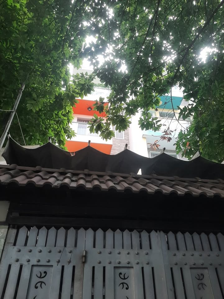 Nhà phố Gò Vấp 64m² giá 9.8 tỷ - Đường xe hơi, mở văn phòng tuyệt vời!