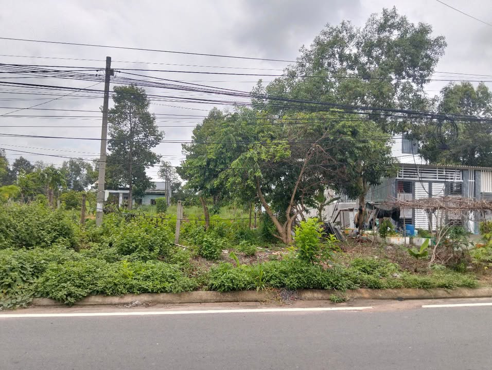 Đất nền Phước An Nhơn Trạch 140m² giá 5.6 tỷ - Sổ hồng riêng, thổ cư 100%!