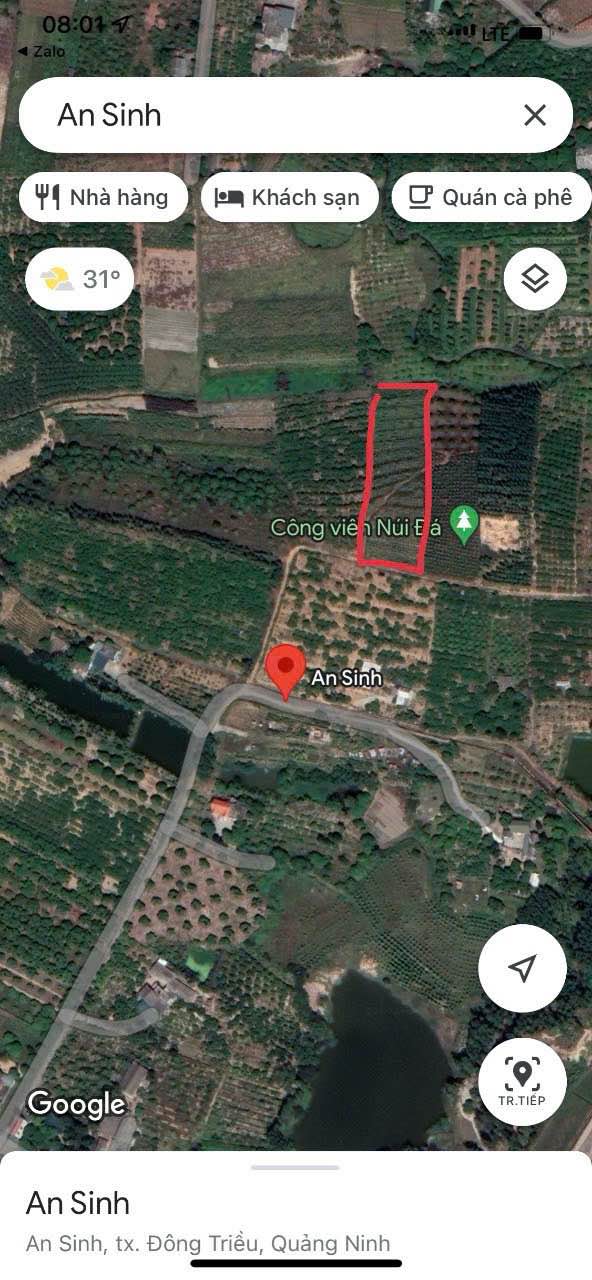 Đất trồng cây ăn quả An Sinh Đông Triều 3000m² giá 300 triệu - Cơ hội đầu tư hấp dẫn!