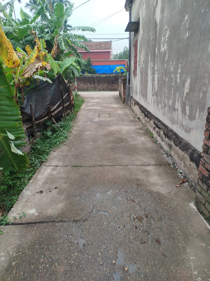 Đất thổ cư Tự Nhiên, Thường Tín 108.4m² giá 4.55 tỷ - Tiềm năng đầu tư sinh lời!