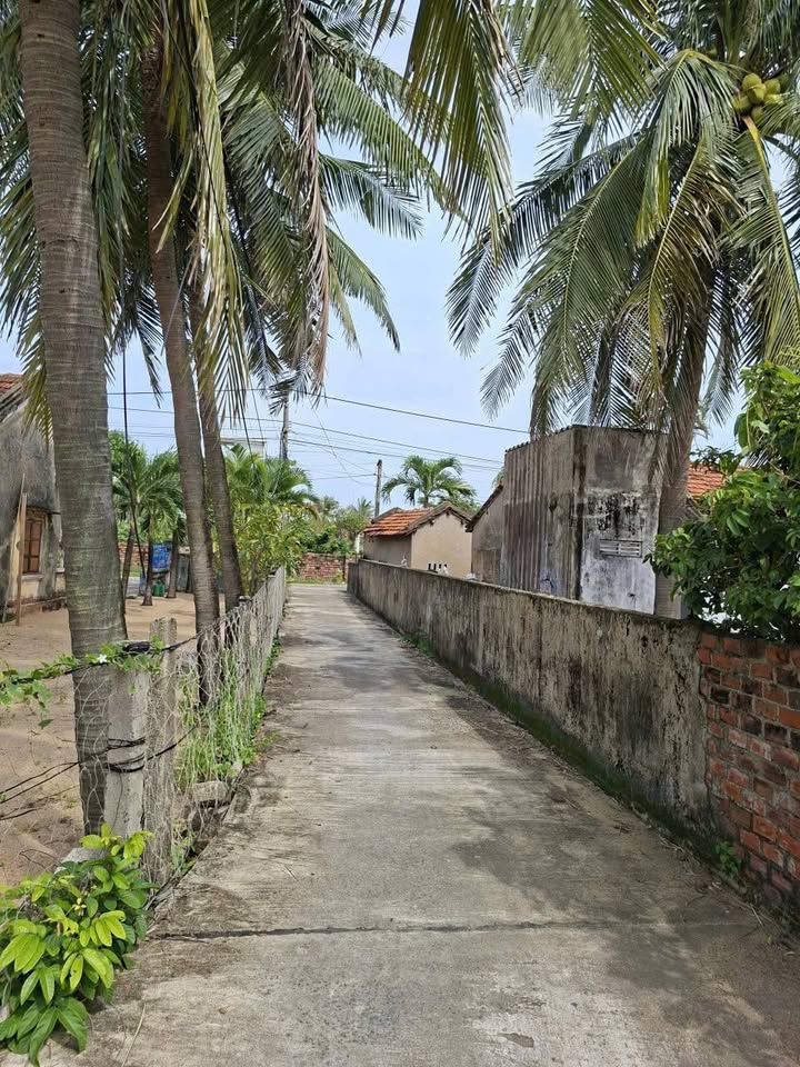 Đất thổ cư Hòa Hiệp Trung, Đông Hòa 130m² - Cách biển chỉ 2 phút!