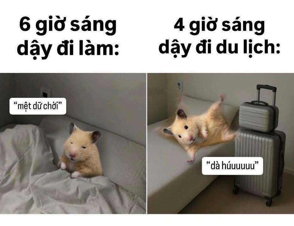 Căn hộ Vinhomes Central Park quận Bình Thạnh 188m² giá 31.5 tỷ - View sông trực diện tuyệt đẹp!