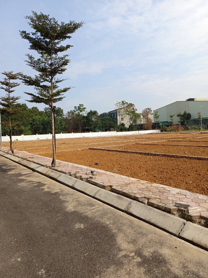 Bán lô liền kề Phú Cát Hòa Lạc 104.7m² giá 4.188 tỷ - Vị trí đắc địa, sổ đỏ chính chủ!