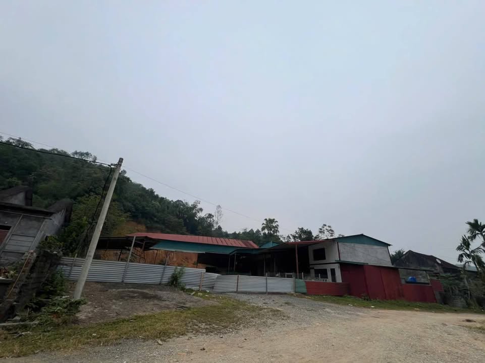 Lô đất Yên Lương, Thanh Sơn 1.234m² giá tốt - Diện tích lớn, pháp lý rõ ràng!