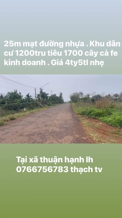 Farm 1ha tại xã Thuận Hạnh, Đắk Song giá 4.5 tỷ - Đầu tư sinh lời tiềm năng!