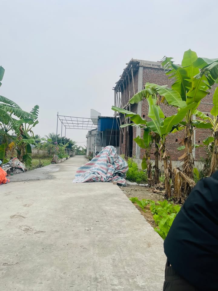 Đất nền Quang Hưng, An Lão, Hải Phòng 64m² giá 500 triệu - Cơ hội đầu tư tuyệt vời!