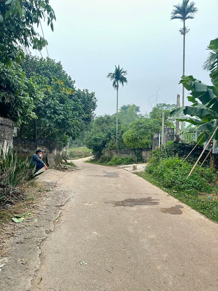 Đất nền xã Đồng Kỳ, Yên Thế 162m² giá chỉ 400 triệu - Cơ hội đầu tư tuyệt vời!