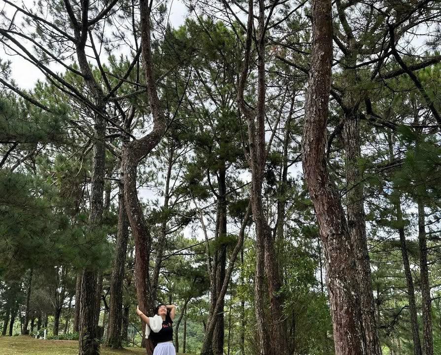 Đất nền 500m² tại Đan Hội, Lục Nam, Bắc Giang - Giá chỉ 500 triệu!