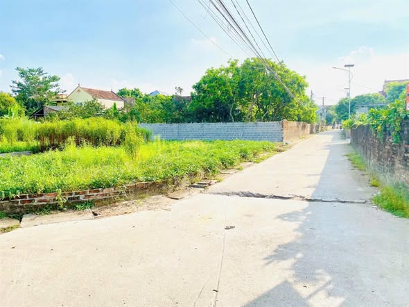 Đất nền thổ cư 87m² tại Đông Tảo, Khoái Châu - Lô góc hiếm có giá tốt!