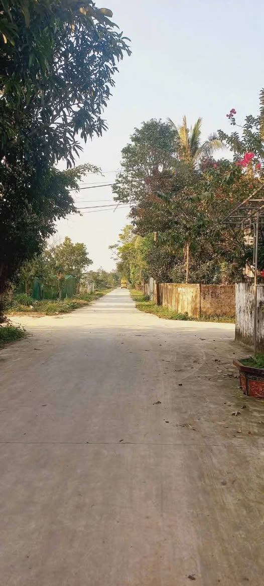 Đất Nghi Trường 164m² giá 1.6 tỷ - Đường bê tông thông thoáng, dân cư đông đúc!