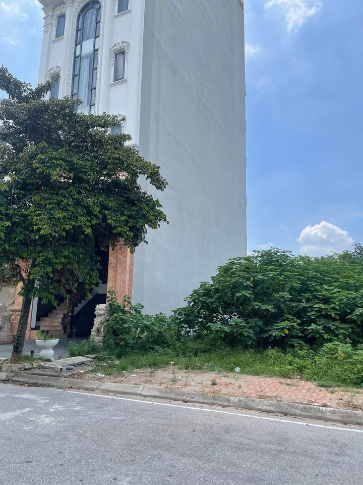 Đất nền Đình Bảng Từ Sơn 110m² giá 10 tỷ - Sổ đỏ chính chủ, vị trí đẹp!