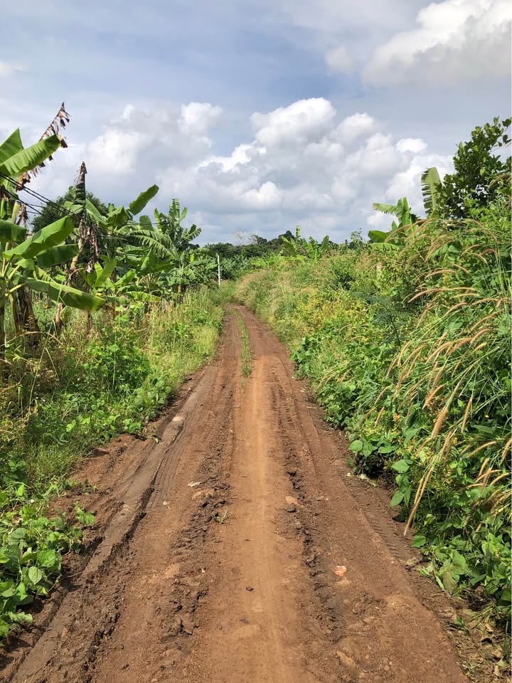 Đất thổ cư Hòa Phú Buôn Ma Thuột 2090m² giá 850 triệu - Cơ hội đầu tư tuyệt vời!