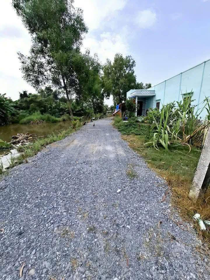 Đất thổ cư Tân Trạch 110m² giá 750 triệu - Sổ hồng riêng từng nền!