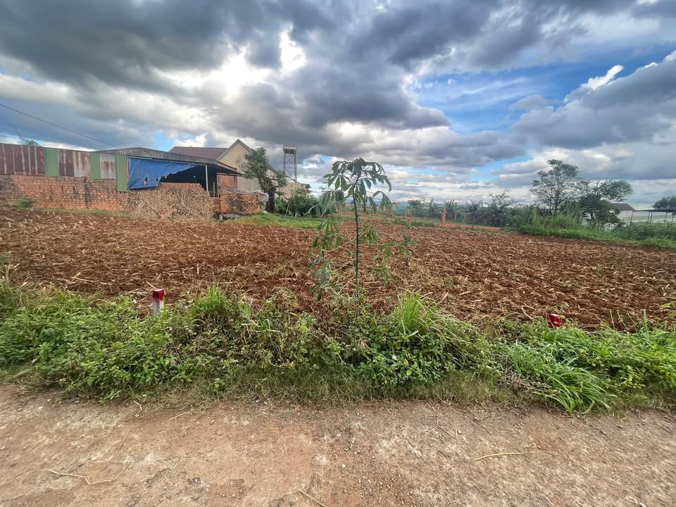 Bán lô đất hẻm chính đường Bùi Viện, phường An Phú, 125m² - Đầu tư sinh lời hấp dẫn!