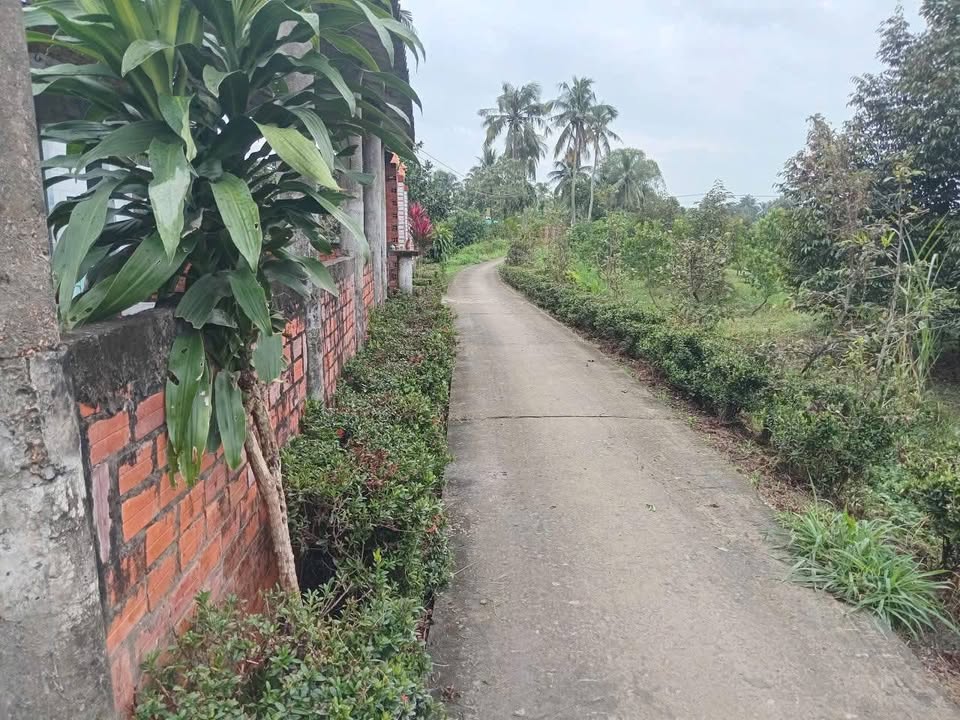 Đất 116,8m² tại ấp Phước Chí, Vĩnh Long giá 420 triệu - Sổ hồng chính chủ!