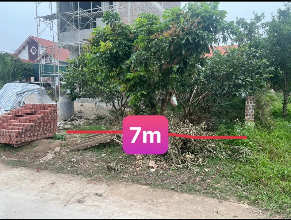 Đất thổ cư Tráng Liệt, Thanh Sơn - 199m² giá 900 triệu - Sổ hồng chính chủ!