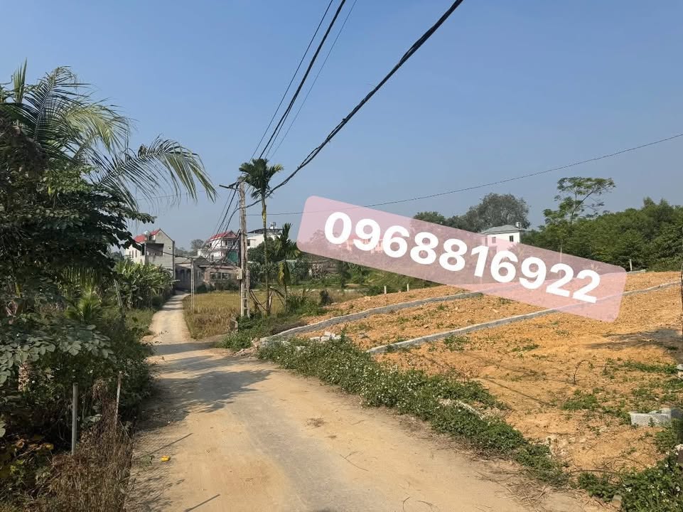 Đất nền Tân Kim Phú Bình 250m² giá 500 triệu - Đầu tư sinh lời tuyệt vời!