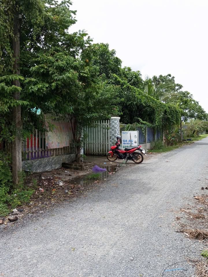 Đất nền Tân Hội Vĩnh Long 527.7m² giá 2.5 tỷ - Sổ hồng chính chủ, cho thuê ngay!