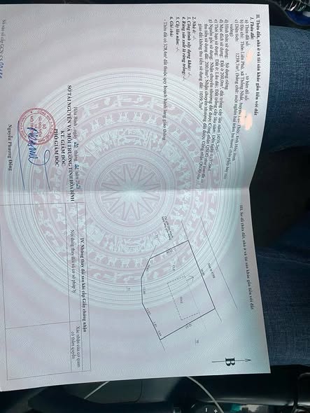 Đất thổ cư Lạc Thủy Hòa Bình 1239m² giá chỉ 3 tỷ - Cơ hội đầu tư tuyệt vời!