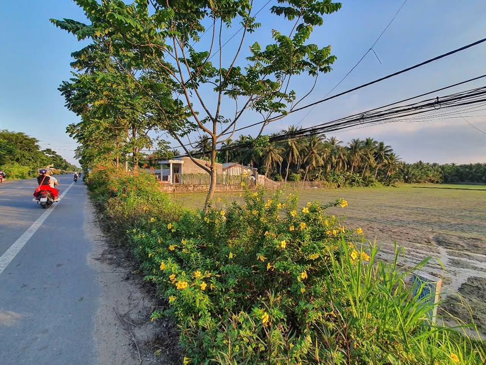 Đất mặt tiền Trần Văn Ẩn, Long Đức, 4696m² - Kinh doanh sầm uất giá chỉ 1.9 tỷ!