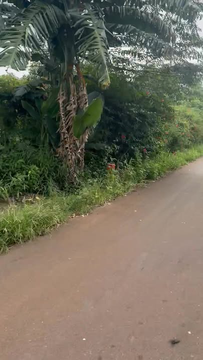 Đất nền Tân Thành, Bình Giã, Châu Đức 840m² - Chính chủ bán gấp!