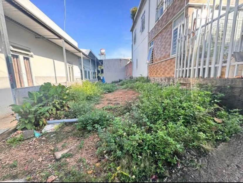 Đất nền Liên Nghĩa 85m² giá 1.35 tỷ - Cơ hội đầu tư tuyệt vời!