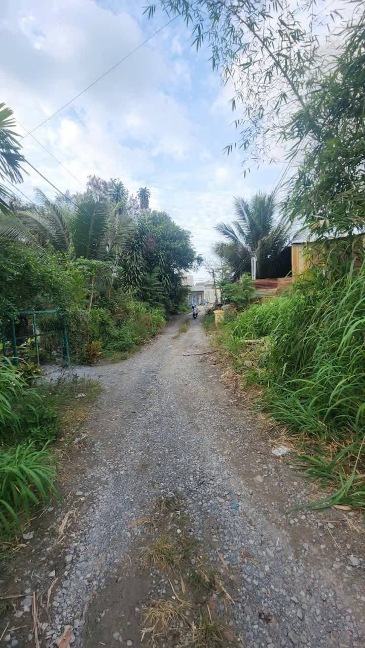 Nhà cho thuê tại Thái Hòa, Tân Uyên 100m² giá chỉ 4 triệu - Không thể bỏ lỡ!