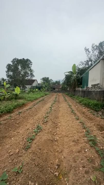 Đất nền Nam Thanh 440m² giá 2 tỷ - Đầu tư sinh lời ngay!