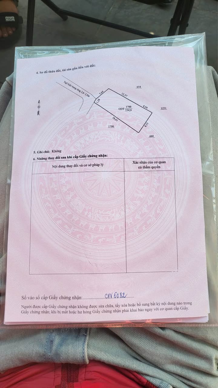 Lô đất Tiến Thọ, Quảng Thịnh 135m² giá chỉ 1 tỷ - Cơ hội đầu tư sinh lời!