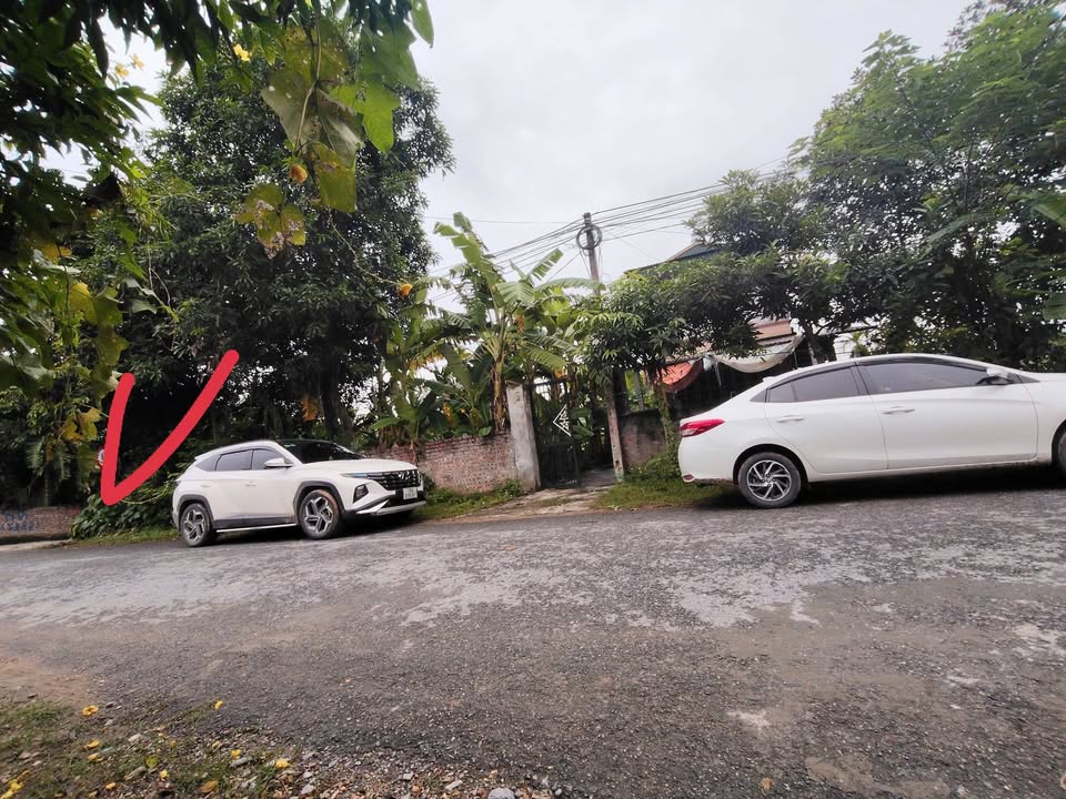 Đất nền mặt đường tỉnh 315, xã Hiền Quan, 111m² giá 700 triệu - Cơ hội đầu tư hấp dẫn!