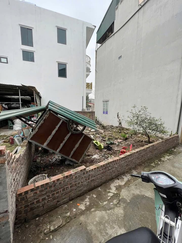 Đất nền Liên Ninh - Thanh Trì 61m² giá 4 tỷ - Tiện ích đầy đủ, vị trí đẹp!