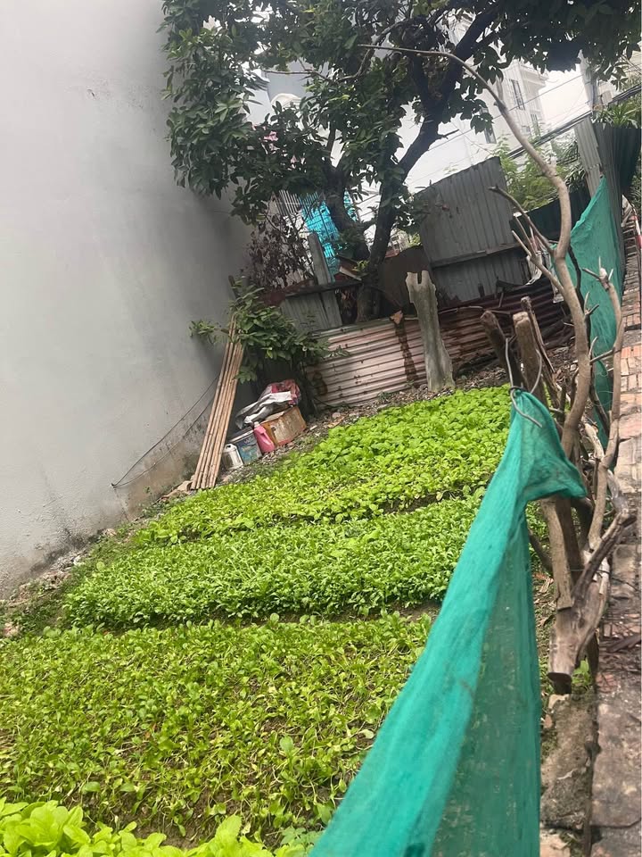 Đất Quang Tiến, Đại Mỗ 52m² giá 9 tỷ - Ô tô vào tận nhà, tiện ích ngập tràn!