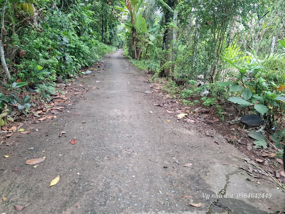 Đất nền Vĩnh Hòa 100m² giá 200 triệu - Cơ hội đầu tư tuyệt vời!