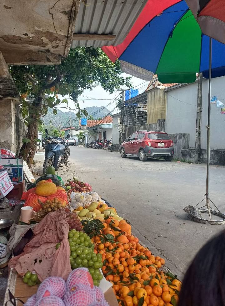 Đất nền Lưu Kiếm, Thủy Nguyên 70m² giá 980 triệu - Cơ hội đầu tư vàng!