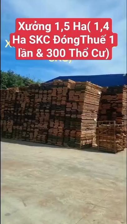Bán xưởng 1,5 Hecta tại Bàu Bàng, Bình Dương - Đang cho thuê 300 triệu/tháng!