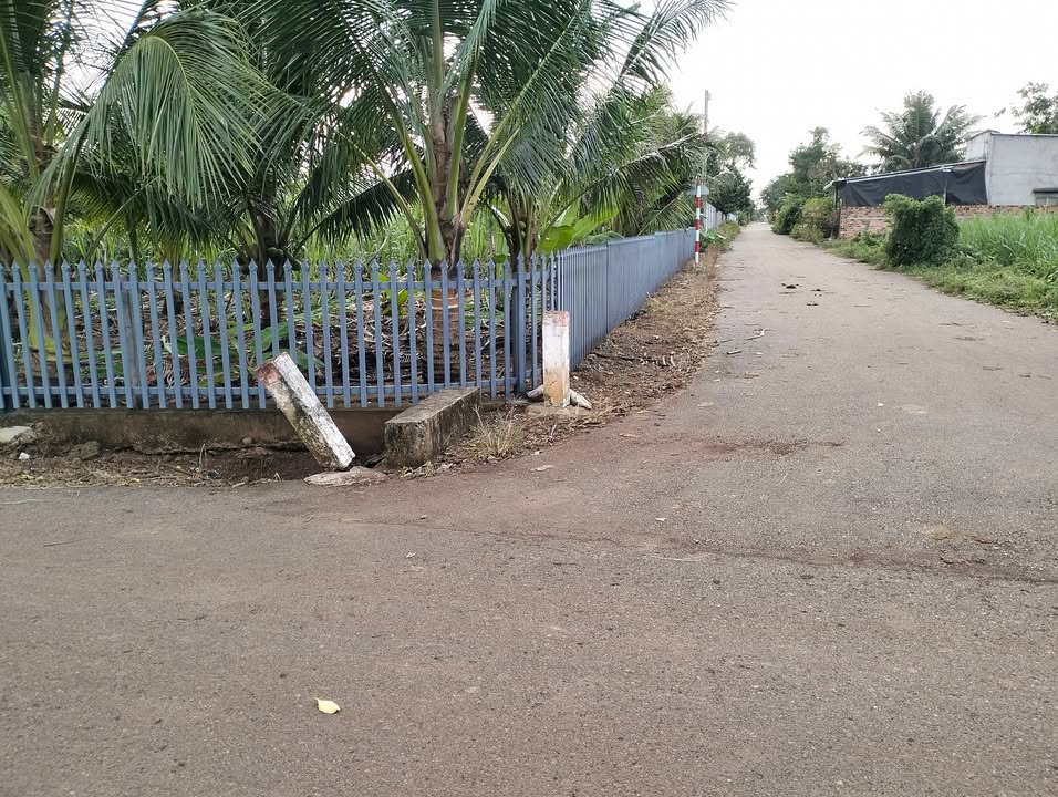 Đất thổ cư 2 mặt tiền đường nhựa tại Bình Giã, Châu Đức - Sổ hồng chính chủ, giá 2.9 tỷ!