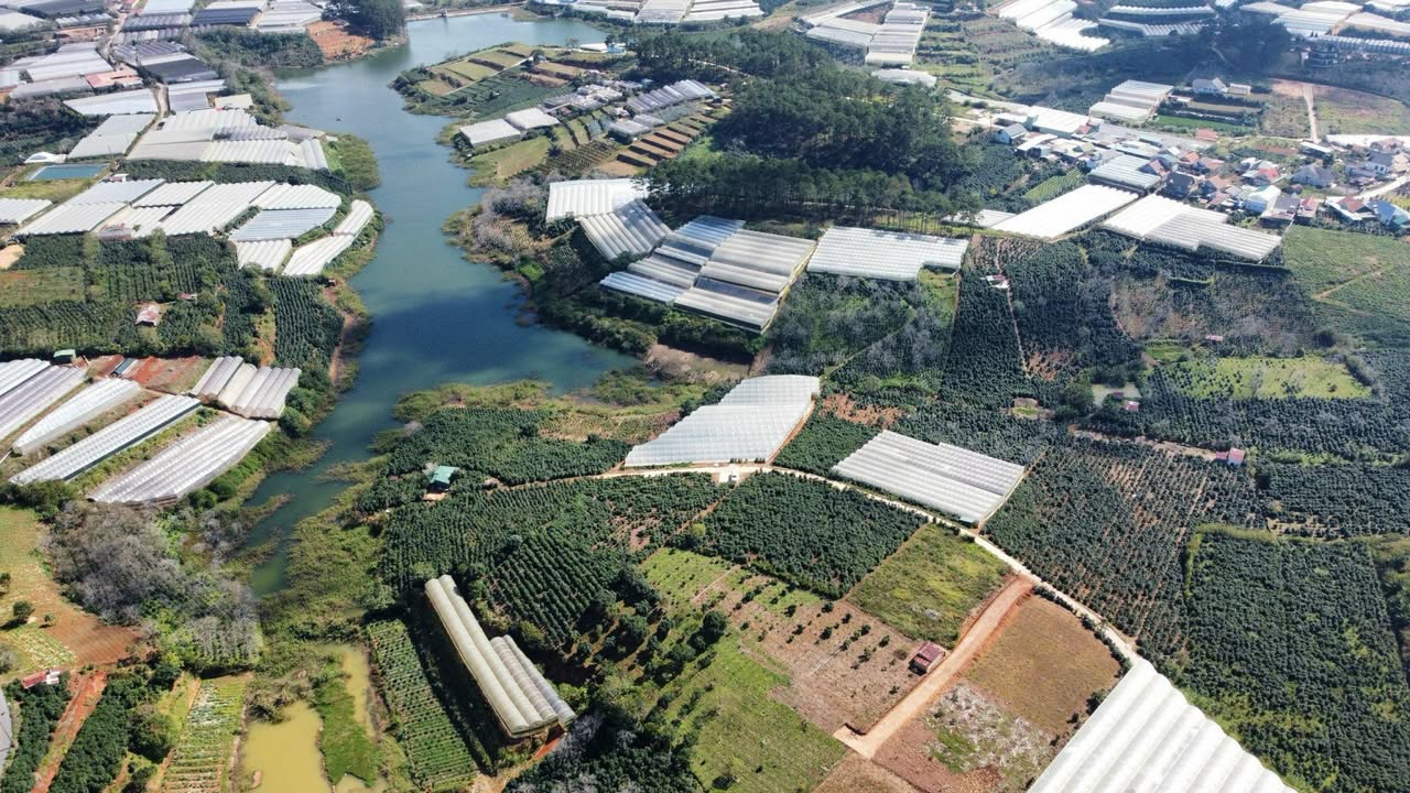 Đất nền Xuân Trường Đà Lạt 1000m² giá 2.9 tỷ - Vị trí đẹp, view hấp dẫn!