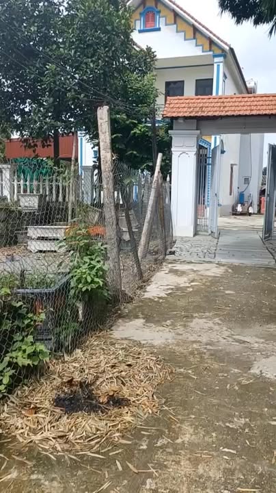 Đất nền dự án Văn Phú Nho Quan 100m² giá 540 triệu - Cơ hội đầu tư hấp dẫn!