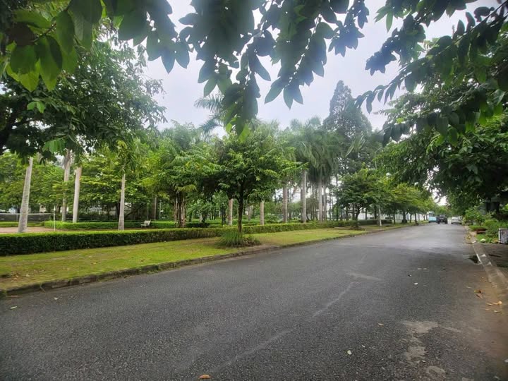 Đất nền biệt thự Võ Văn Kiệt 270m² giá 2.052 tỷ - Đầu tư sinh lời ngay!