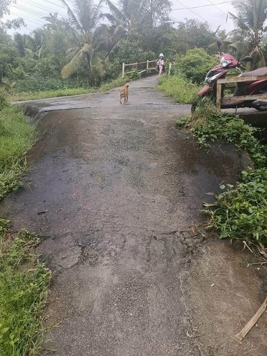 Đất nền Hẻm 28 Nguyễn Trãi, Vị Thanh 425m² giá 660 triệu - Cơ hội đầu tư hấp dẫn!