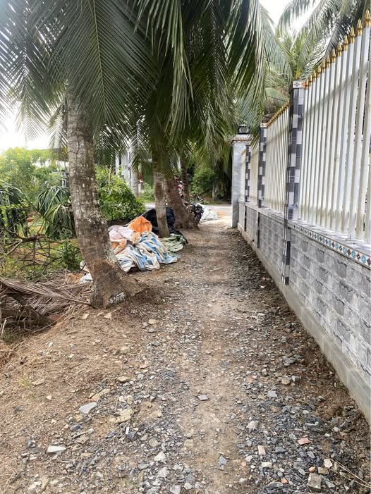 Đất vườn 704m² giá chỉ 269 triệu - Sổ đỏ chính chủ tại Gò Công Tây!