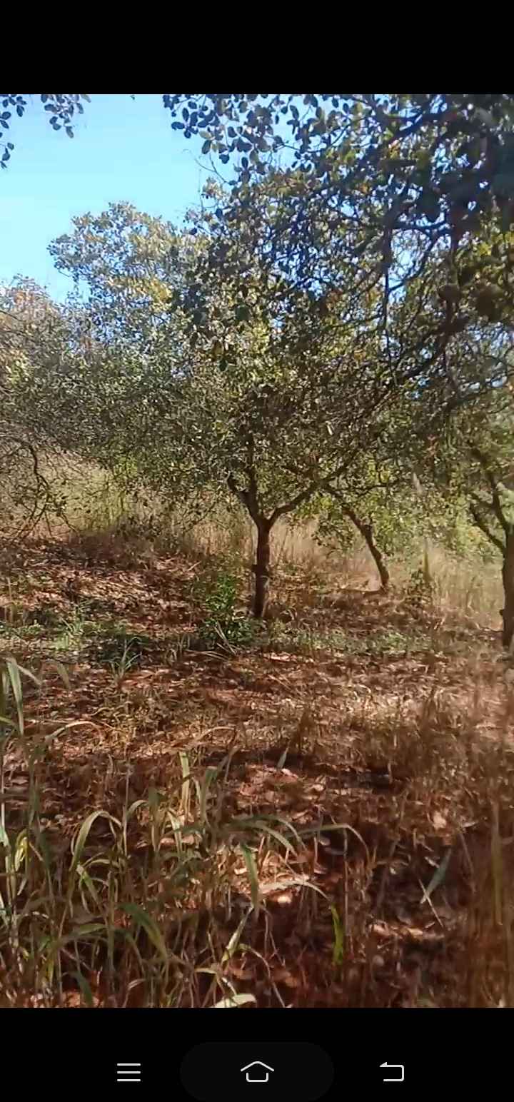 Đất thổ cư 34.000m² tại ấp Thạch Màng, Đồng Phú chỉ 2.65 tỷ - Đầu tư sinh lời!