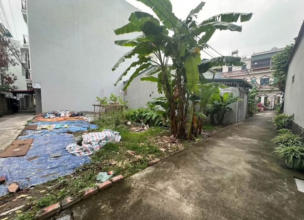 Đất Yên Vĩnh 58m² giá 9x triệu - Cơ hội đầu tư tuyệt vời!