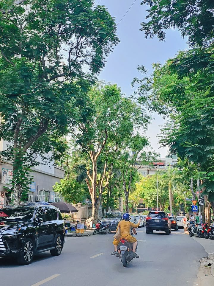 Biệt thự mặt phố Bùi Xuân Phái, Nam Từ Liêm 261m² giá 72 tỷ - Kinh doanh đỉnh cao!